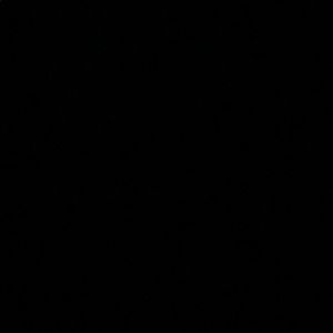 Meet your Posher, Bridget